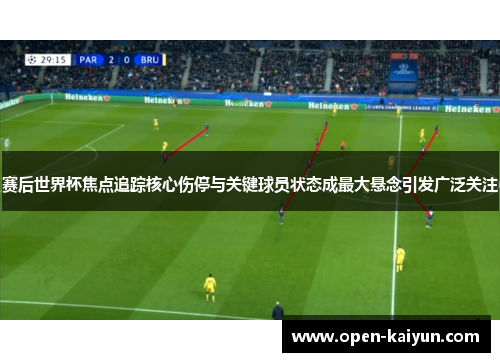 赛后世界杯焦点追踪核心伤停与关键球员状态成最大悬念引发广泛关注